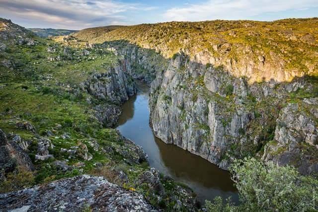 Flor Do Douro - Comercio E Hotelaria, Lda Миранда-ду-Дору Экстерьер фото
