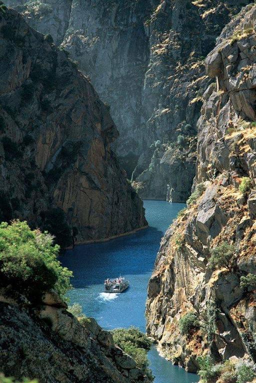 Flor Do Douro - Comercio E Hotelaria, Lda Миранда-ду-Дору Экстерьер фото
