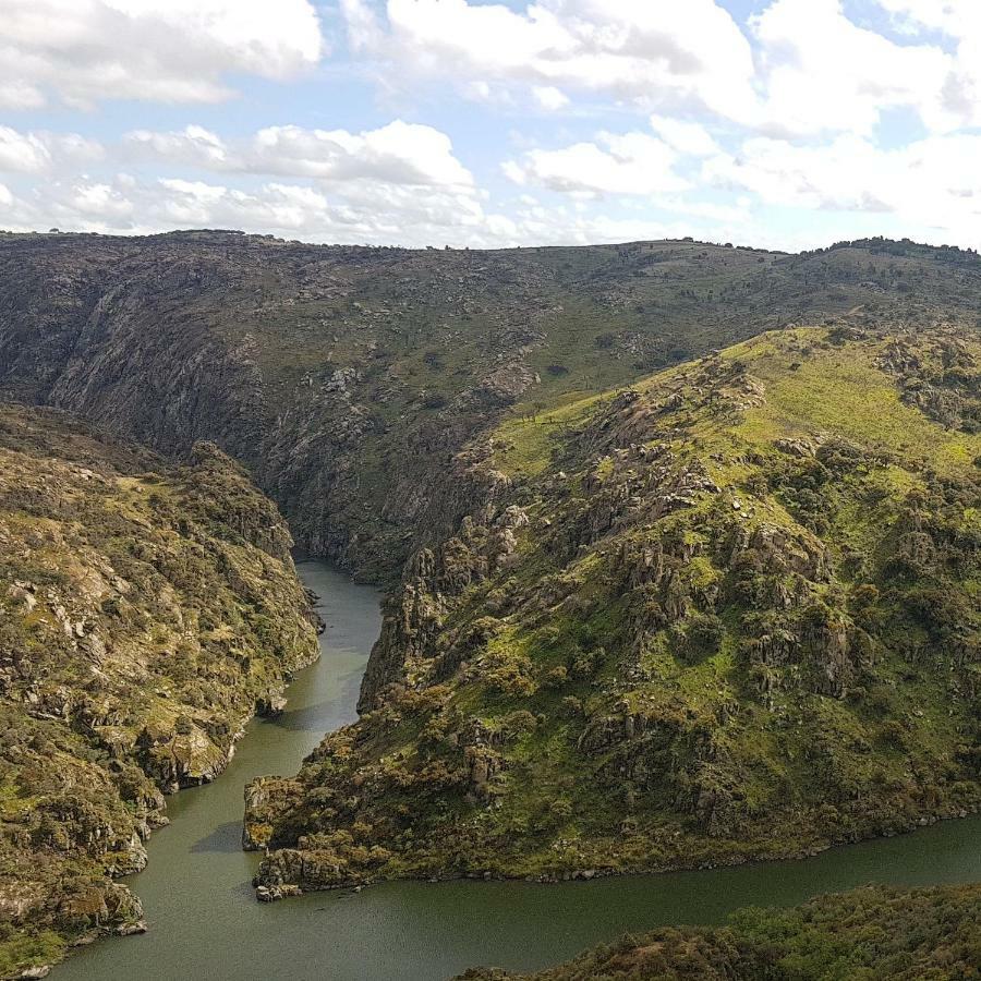 Flor Do Douro - Comercio E Hotelaria, Lda Миранда-ду-Дору Экстерьер фото